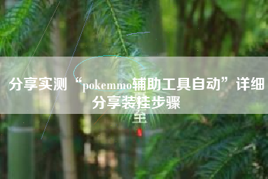 分享实测“pokemmo辅助工具自动”详细分享装挂步骤