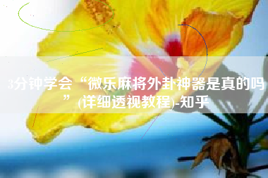 3分钟学会“微乐麻将外卦神器是真的吗”(详细透视教程)-知乎