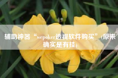 辅助神器“wepoker透视软件购买	”(原来确实是有挂)