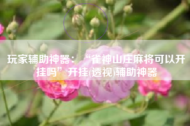 玩家辅助神器：“雀神山庄麻将可以开挂吗”开挂(透视)辅助神器