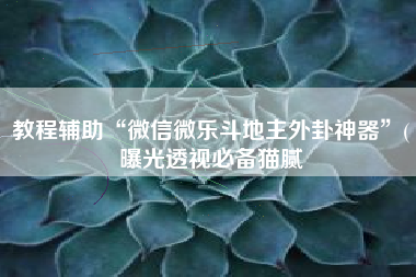 教程辅助“微信微乐斗地主外卦神器	”(曝光透视必备猫腻