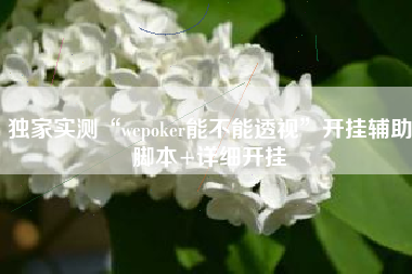 独家实测“wepoker能不能透视”开挂辅助脚本+详细开挂