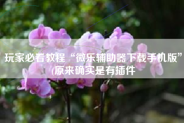 玩家必看教程“微乐辅助器下载手机版”(原来确实是有插件