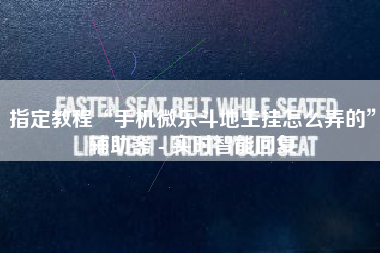 指定教程“手机微乐斗地主挂怎么弄的”辅助器 - 实时智能回复