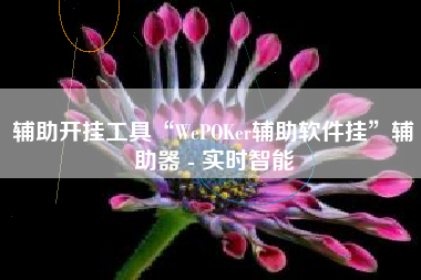辅助开挂工具“WePOKer辅助软件挂”辅助器 - 实时智能