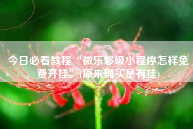 今日必看教程“微乐够级小程序怎样免费开挂”(原来确实是有挂)