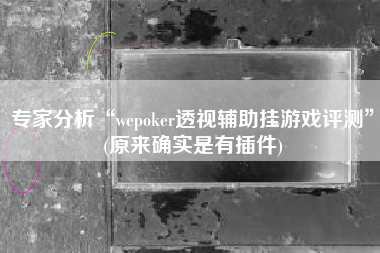 专家分析“wepoker透视辅助挂游戏评测”(原来确实是有插件)