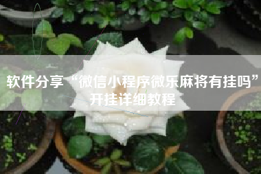 软件分享“微信小程序微乐麻将有挂吗”开挂详细教程