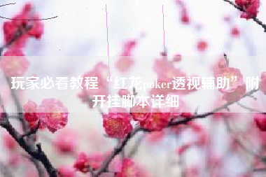 玩家必看教程“红龙poker透视辅助”附开挂脚本详细