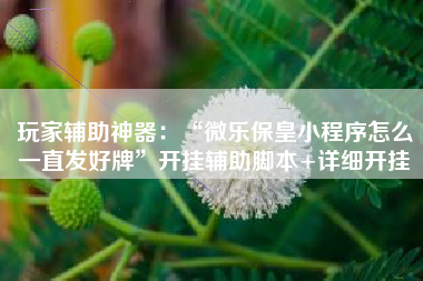 玩家辅助神器：“微乐保皇小程序怎么一直发好牌	”开挂辅助脚本+详细开挂