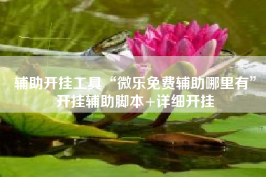 辅助开挂工具“微乐免费辅助哪里有”开挂辅助脚本+详细开挂