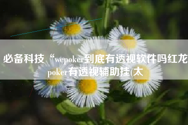 必备科技“wepoker到底有透视软件吗红龙poker有透视辅助挂(太