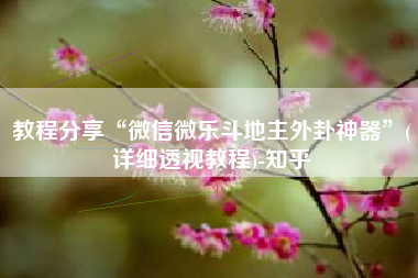 教程分享“微信微乐斗地主外卦神器”(详细透视教程)-知乎