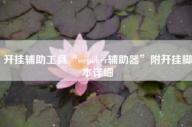 开挂辅助工具“wepoker辅助器	”附开挂脚本详细