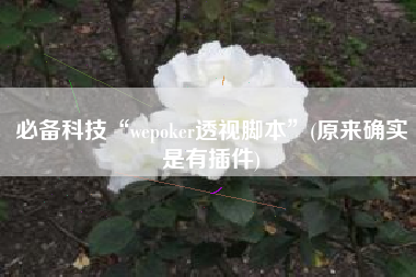 必备科技“wepoker透视脚本”(原来确实是有插件)