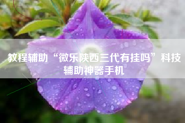 教程辅助“微乐陕西三代有挂吗”科技辅助神器手机