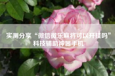 实测分享“微信微乐麻将可以开挂吗”科技辅助神器手机