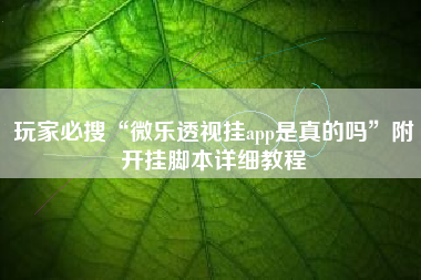 玩家必搜“微乐透视挂app是真的吗”附开挂脚本详细教程