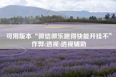 可用版本“微信微乐跑得快能开挂不	”作弊(透视)透视辅助