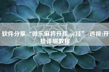 软件分享“微乐麻将开挂app挂”(透视)开挂详细教程