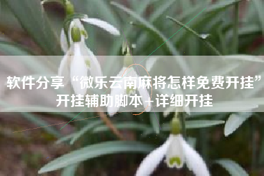 软件分享“微乐云南麻将怎样免费开挂	”开挂辅助脚本+详细开挂