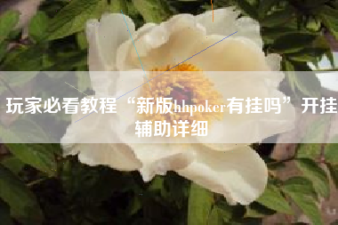 玩家必看教程“新版hhpoker有挂吗	”开挂辅助详细