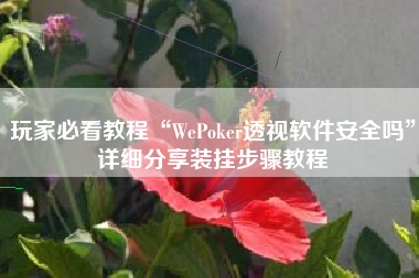 玩家必看教程“WePoker透视软件安全吗”详细分享装挂步骤教程