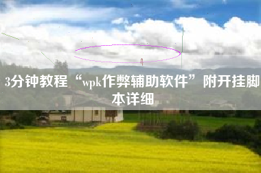 3分钟教程“wpk作弊辅助软件”附开挂脚本详细
