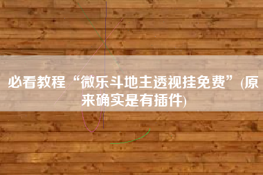 必看教程“微乐斗地主透视挂免费”(原来确实是有插件)