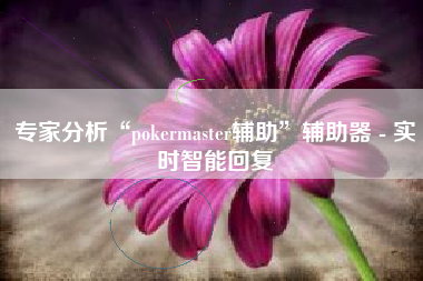 专家分析“pokermaster辅助”辅助器 - 实时智能回复