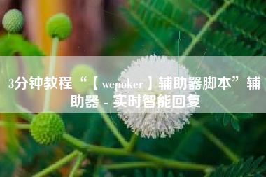 3分钟教程“【wepoker】辅助器脚本	”辅助器 - 实时智能回复