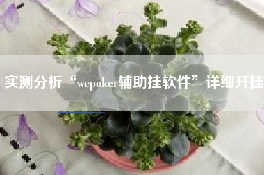 实测分析“wepoker辅助挂软件”详细开挂