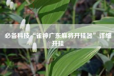 必备科技“雀神广东麻将开挂器”详细开挂
