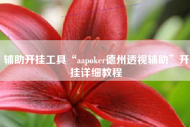 辅助开挂工具“aapoker德州透视辅助”开挂详细教程