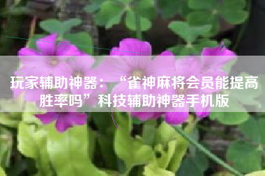 玩家辅助神器：“雀神麻将会员能提高胜率吗	”科技辅助神器手机版