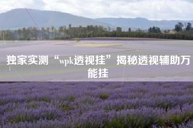 独家实测“wpk透视挂”揭秘透视辅助万能挂