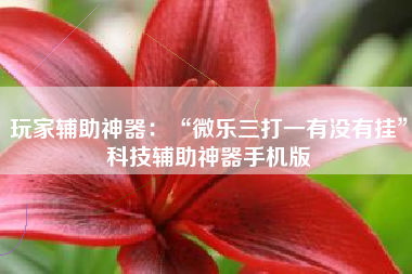 玩家辅助神器：“微乐三打一有没有挂”科技辅助神器手机版