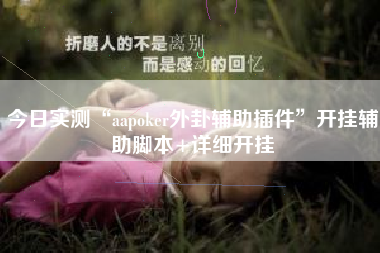 今日实测“aapoker外卦辅助插件”开挂辅助脚本+详细开挂