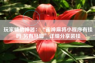 玩家辅助神器：“雀神麻将小程序有挂吗-另有马脚	”详细分享装挂