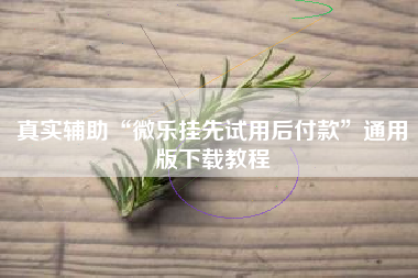 真实辅助“微乐挂先试用后付款”通用版下载教程