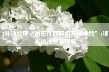 3分钟教程“微乐江西麻将开挂神器”(曝光透视必备猫腻