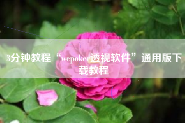 3分钟教程“wepoker透视软件”通用版下载教程