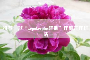 推荐一款“wepokerplus辅助	”详细开挂玩法