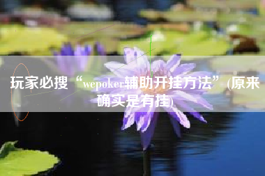 玩家必搜“wepoker辅助开挂方法”(原来确实是有挂)