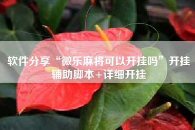 软件分享“微乐麻将可以开挂吗	”开挂辅助脚本+详细开挂
