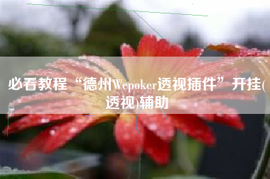 必看教程“德州Wepoker透视插件”开挂(透视)辅助
