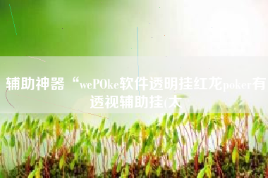 辅助神器“wePOke软件透明挂红龙poker有透视辅助挂(太