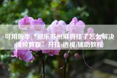 可用版本“微乐苏州麻将挂了怎么解决视频教程	”开挂(透视)辅助教程