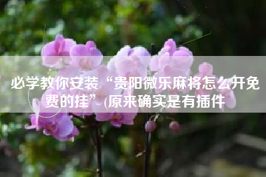 必学教你安装“贵阳微乐麻将怎么开免费的挂	”(原来确实是有插件