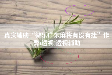 真实辅助“微乐广东麻将有没有挂”作弊(透视)透视辅助